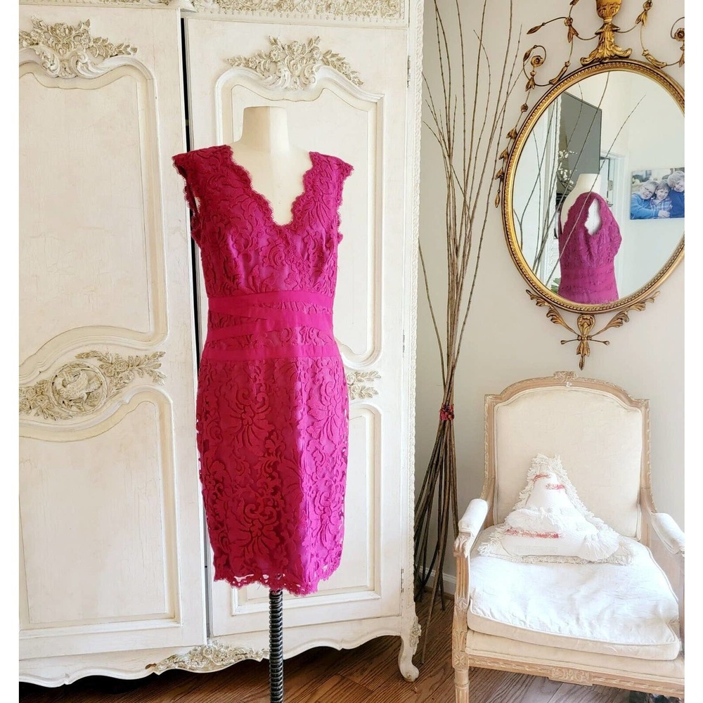 Tadashi Shoji Carla Embroidered Lace Sheath Dress Pink Size 10 Party Wedding